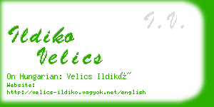 ildiko velics business card